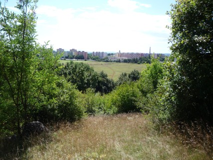 P1120005