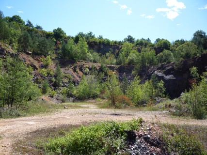 P1120007