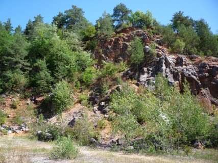 P1120010