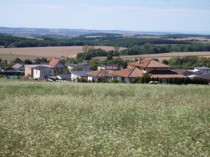 P1120062