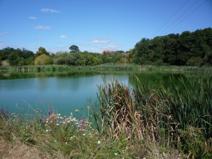 P1120074
