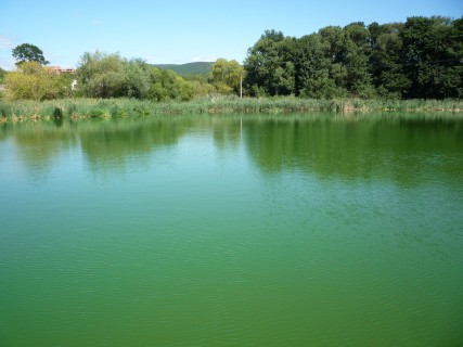 P1120080