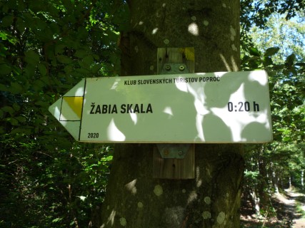 P1120084