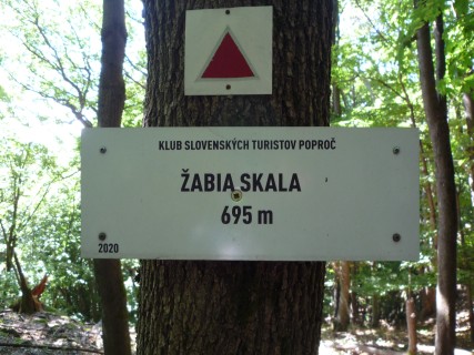 P1120094