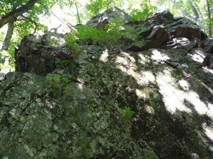 P1120106
