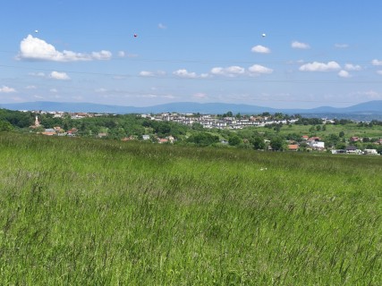 IMG_20260520_134008