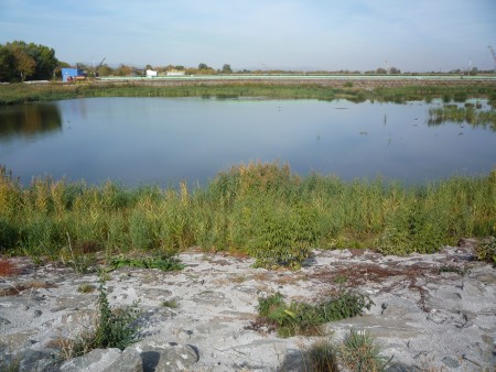 P1120832
