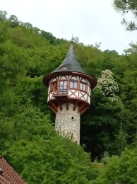IMG_20250512_120421_1