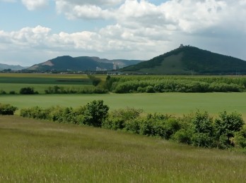 IMG_20250512_112843