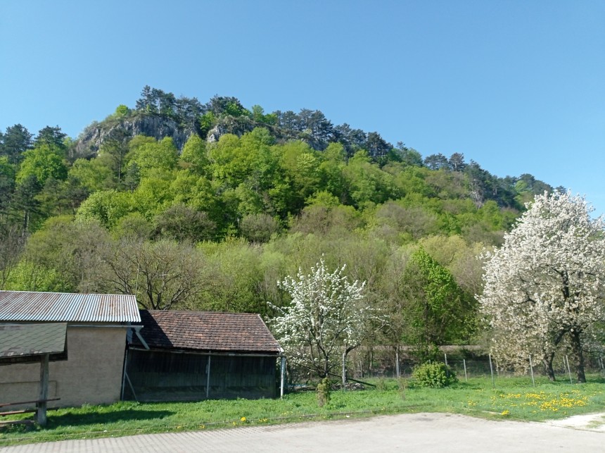 IMG_20250421_093601_1