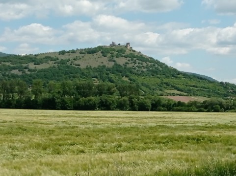 IMG_20250530_115302