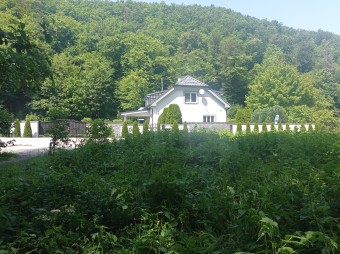 IMG_20250605_135516