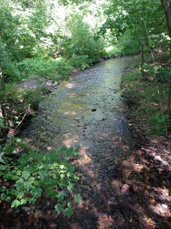 IMG_20250605_141129_1