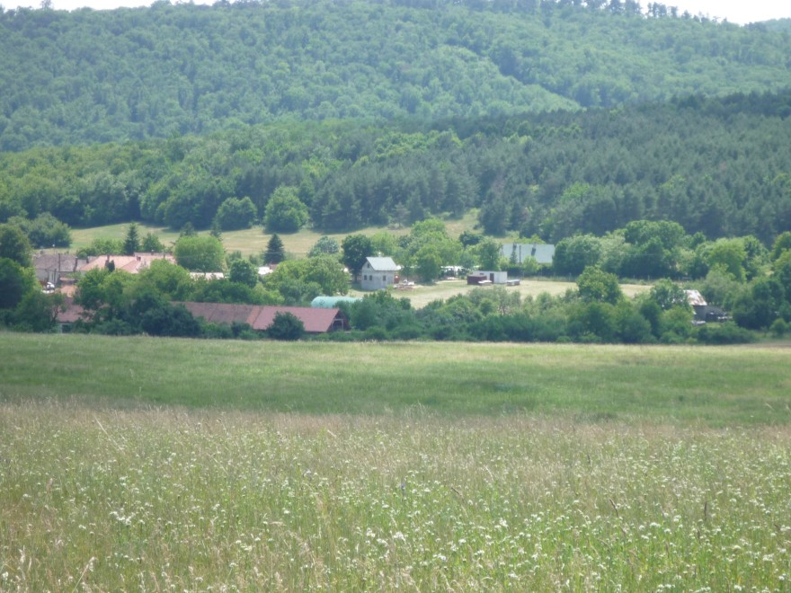 P1110560