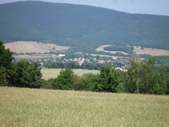 P1110608