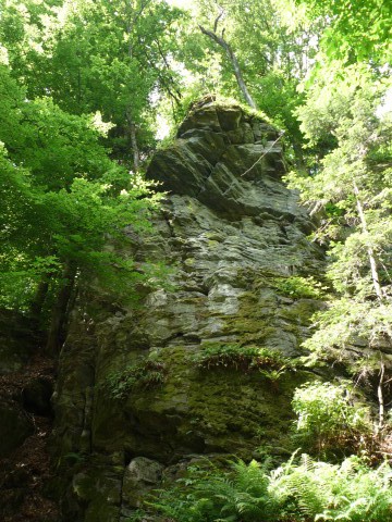 P1110684