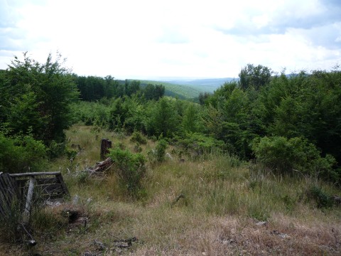 P1110688