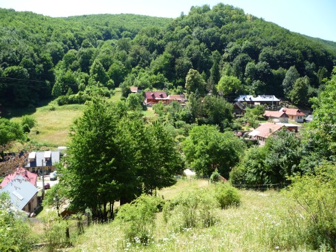 P1110781