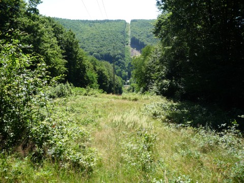 P1110790