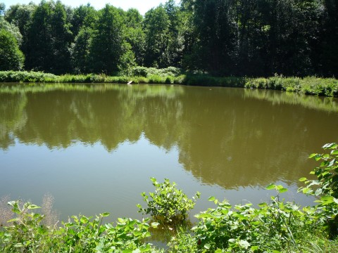 P1110801