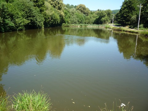 P1110816