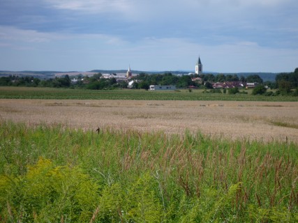 P1110996