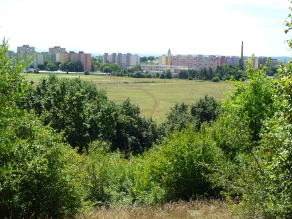 P1120004