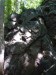 P1120103