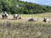 IMG_20260709_112203