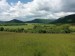 IMG_20250512_112958_1