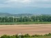 IMG_20250520_105945_1