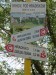 IMG_20250530_123019
