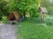 IMG_20250605_135400
