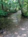 IMG_20250605_135523