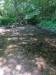 IMG_20250605_135531