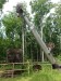 IMG_20250607_111750_1