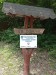 IMG_20250607_130433_1