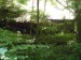 P1110841